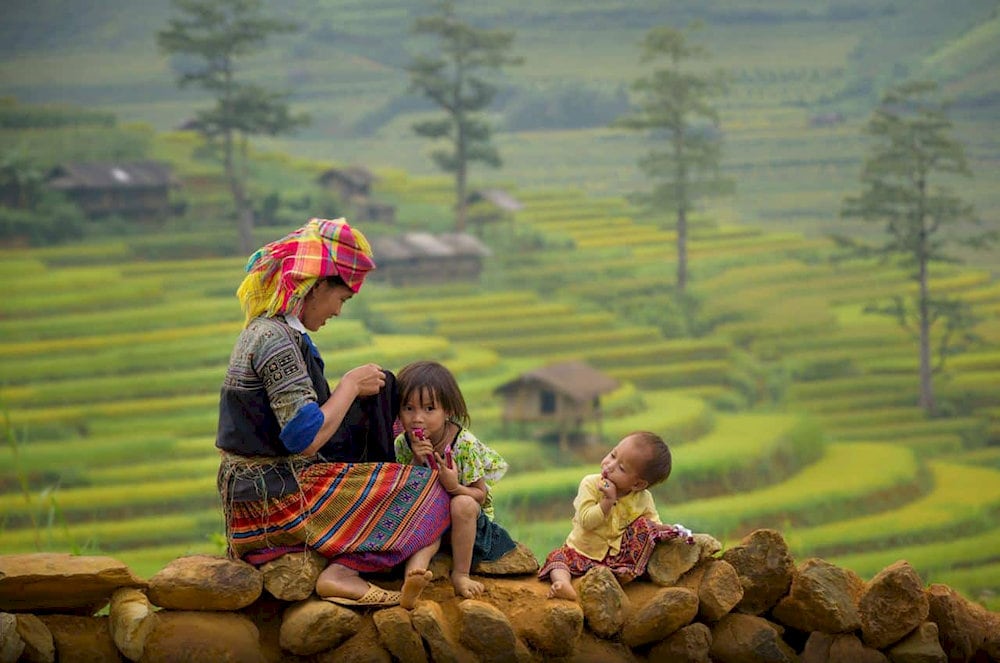 Local ethnic minority women in traditional attire working near the Muong Hoa Valley rice terraces, showcasing the rich cultural heritage of the region